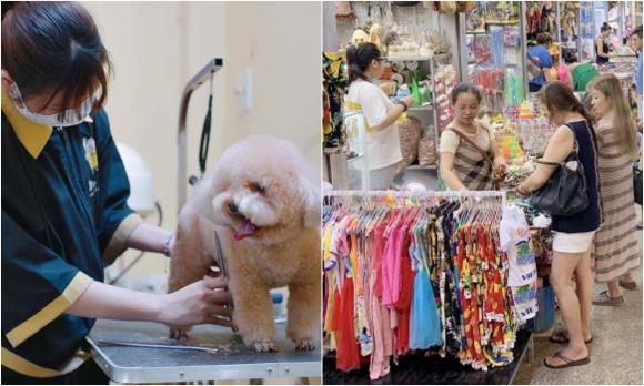 triệu phú tự thân, tài chính, nguyên tắc tài chính, bài học tài chính